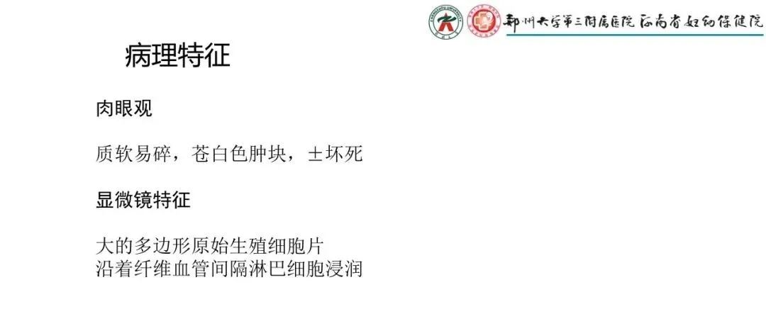 影像PPT - 【PPT】松果体区病变及影像表现-9