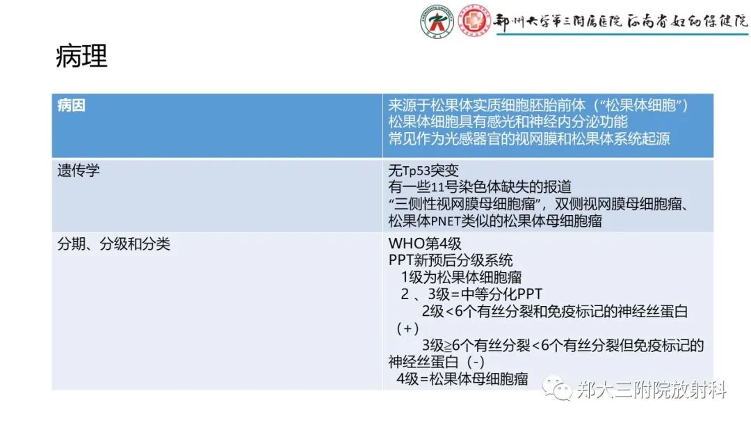 影像PPT - 【PPT】松果体区病变及影像表现-45