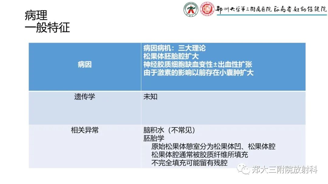 影像PPT - 【PPT】松果体区病变及影像表现-58
