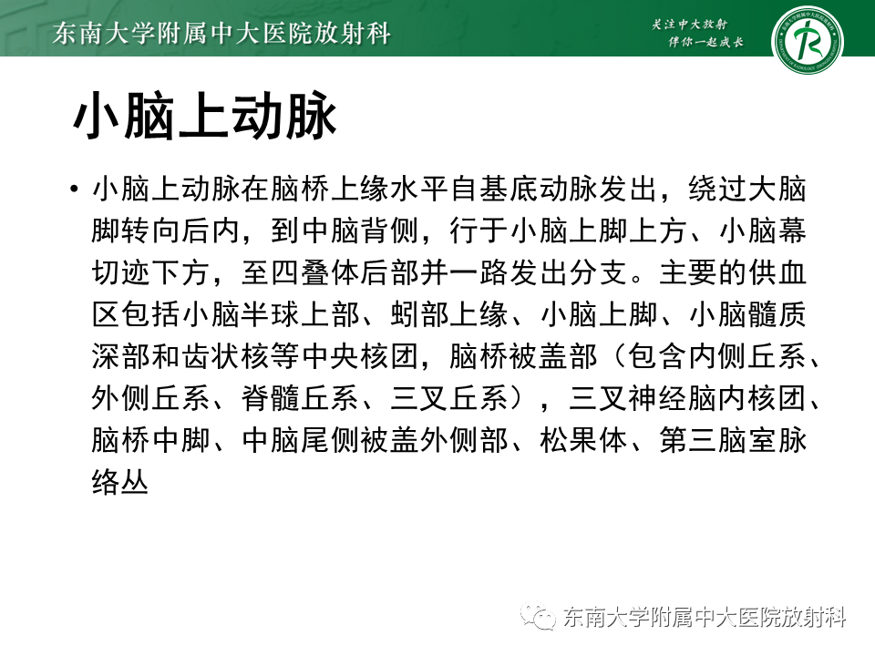 影像PPT - 【PPT】基底动脉尖综合征-13