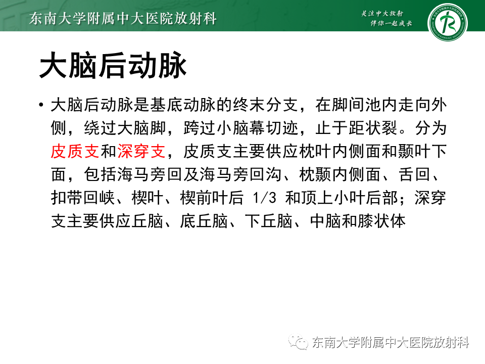 影像PPT - 【PPT】基底动脉尖综合征-11
