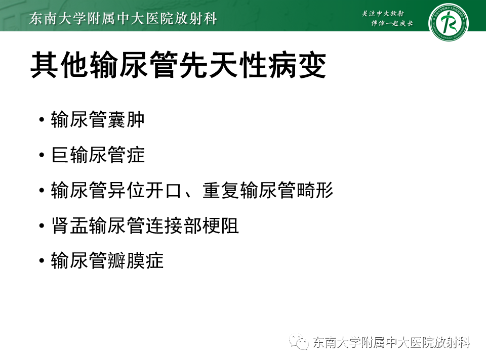 影像PPT - 【PPT】下腔静脉后输尿管及输尿管先天变异-12