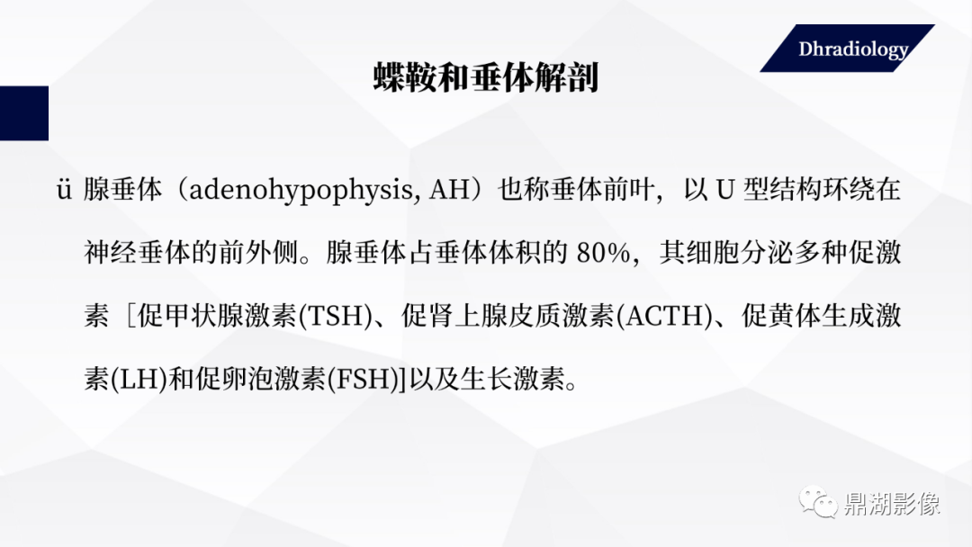 影像PPT - 【PPT】垂体瘤影像诊断-6