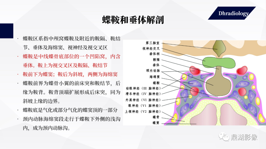 影像PPT - 【PPT】垂体瘤影像诊断-2