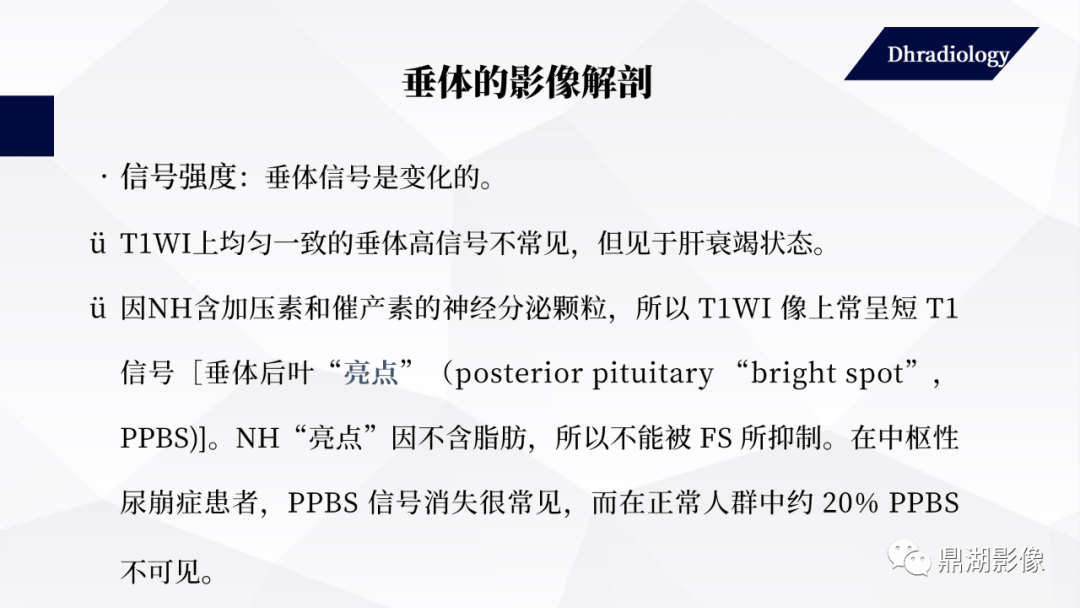 影像PPT - 【PPT】垂体瘤影像诊断-13