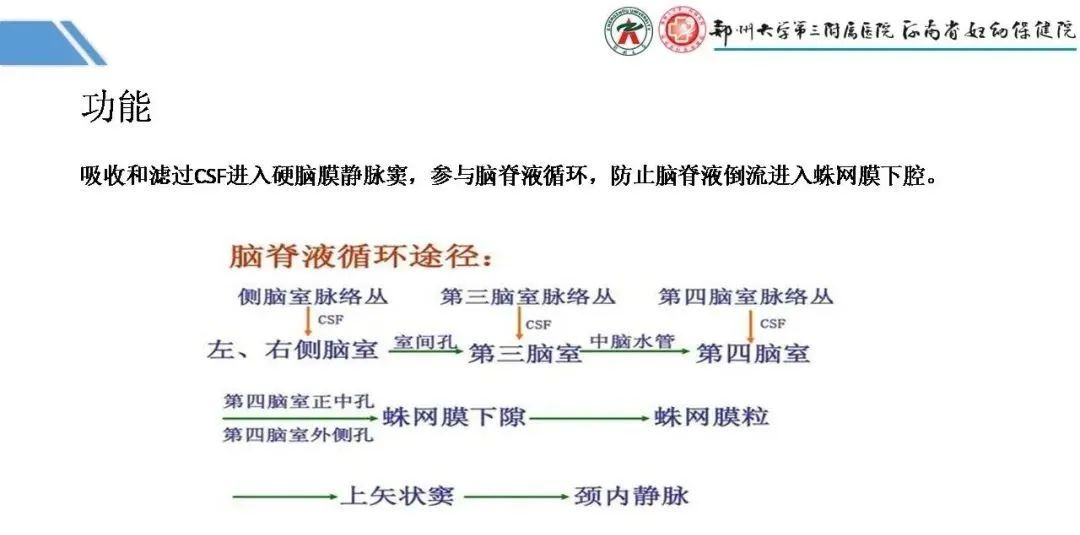 影像PPT - 【PPT】蛛网膜颗粒的影像学表现-5