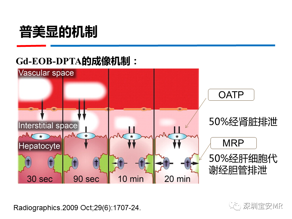 影像PPT - 【PPT】GD-EOB-DTPA肝胆期高信号的病变-2
