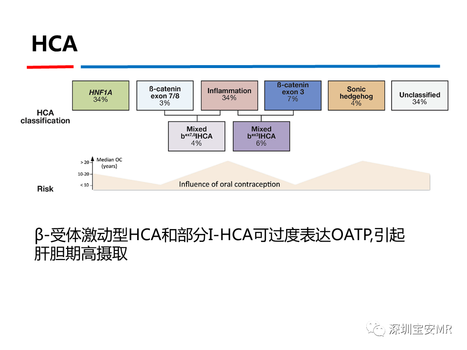 影像PPT - 【PPT】GD-EOB-DTPA肝胆期高信号的病变-18