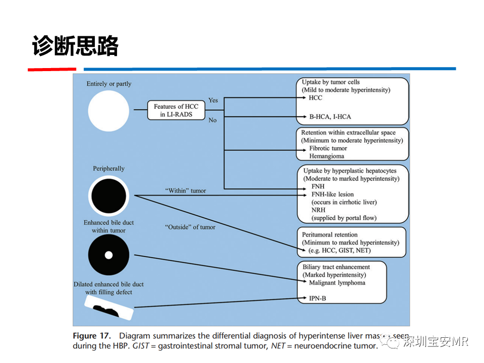 影像PPT - 【PPT】GD-EOB-DTPA肝胆期高信号的病变-43