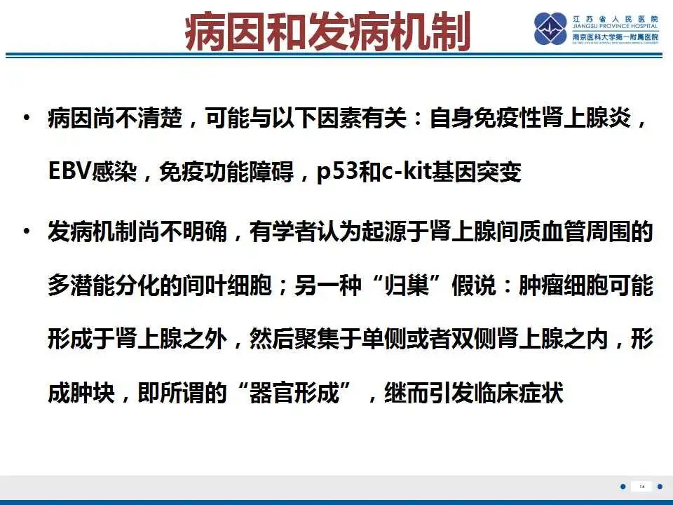 影像PPT - 【PPT】原发性肾上腺淋巴瘤-15