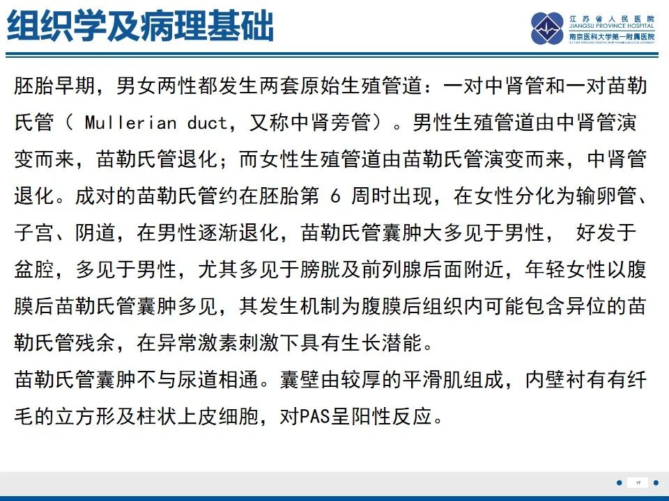 影像PPT - 【PPT】苗勒氏管囊肿-17