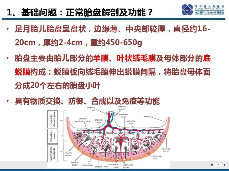 影像PPT - 【PPT】胎盘植入性疾病-8