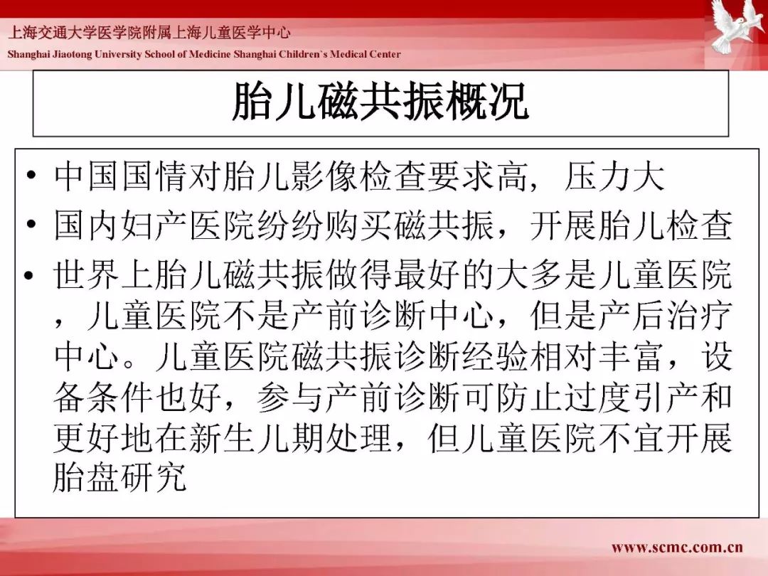 影像PPT - 【PPT】胎儿磁共振检查技术-3