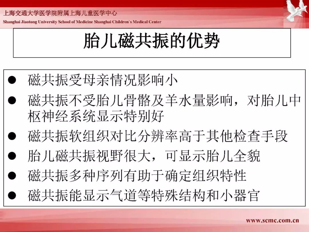 影像PPT - 【PPT】胎儿磁共振检查技术-7