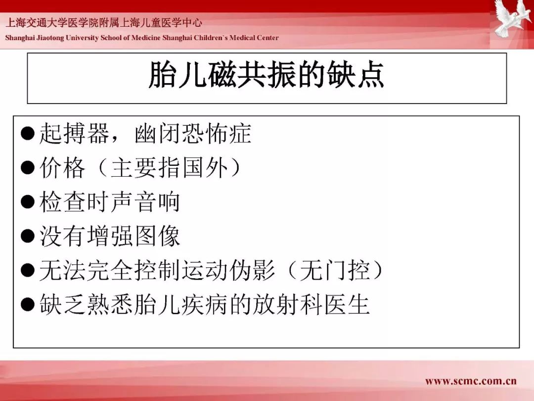 影像PPT - 【PPT】胎儿磁共振检查技术-8