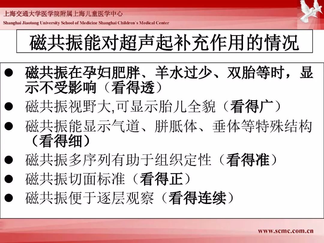 影像PPT - 【PPT】胎儿磁共振检查技术-16