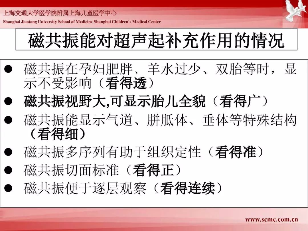 影像PPT - 【PPT】胎儿磁共振检查技术-27