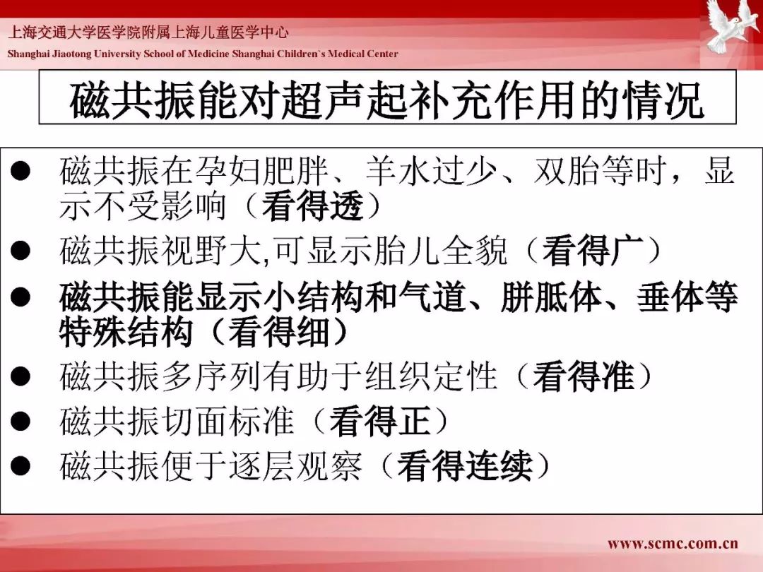 影像PPT - 【PPT】胎儿磁共振检查技术-32