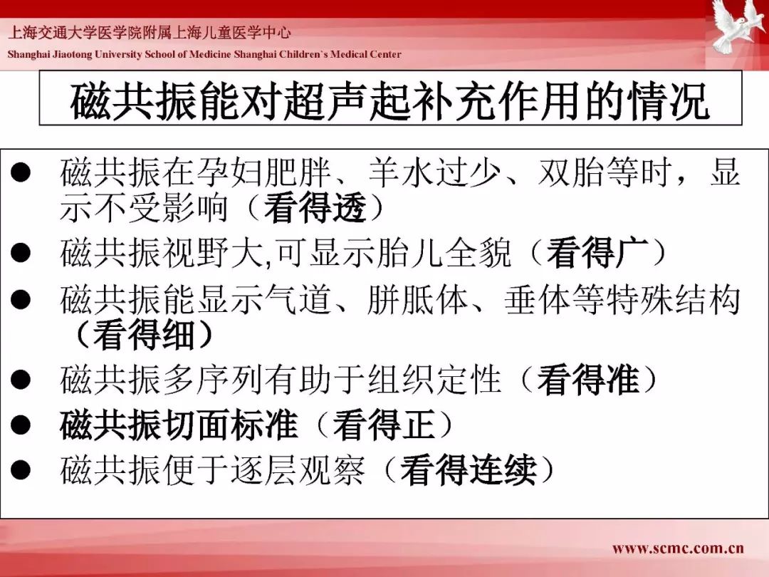 影像PPT - 【PPT】胎儿磁共振检查技术-48