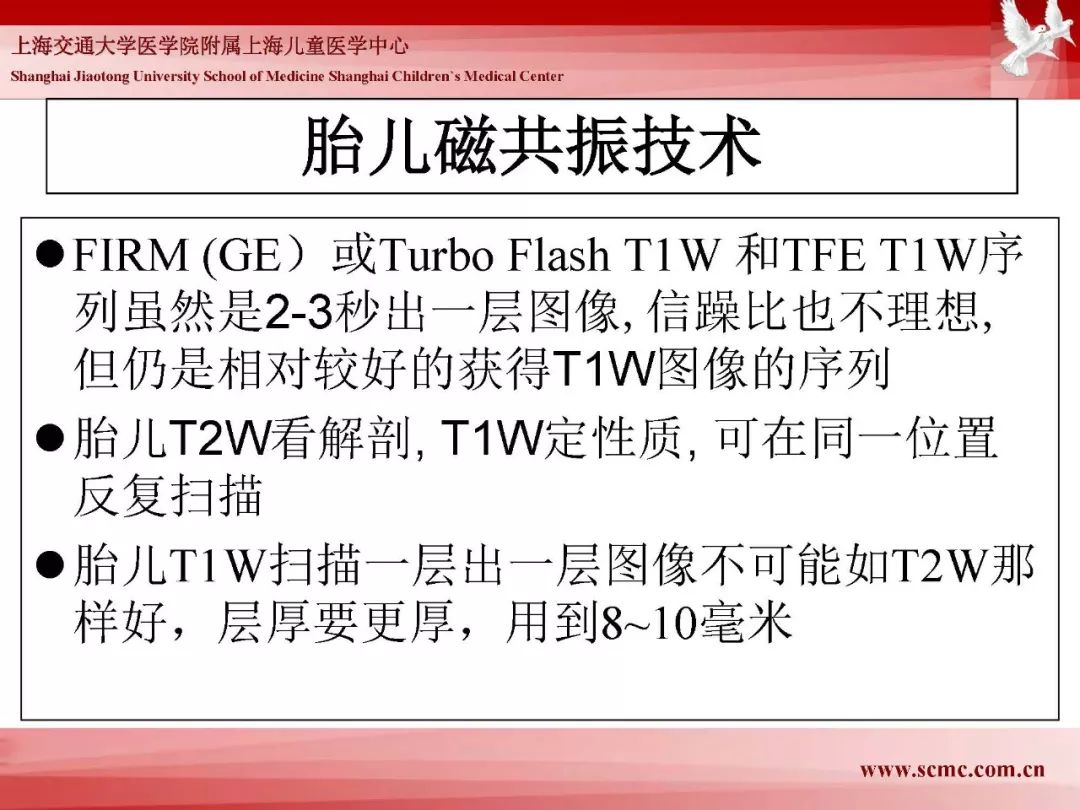 影像PPT - 【PPT】胎儿磁共振检查技术-70
