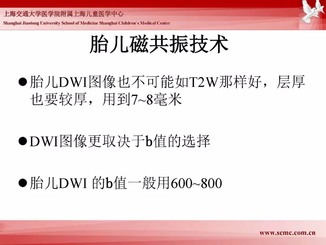 影像PPT - 【PPT】胎儿磁共振检查技术-76