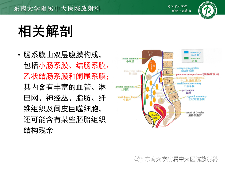 影像PPT - 【PPT】肠系膜脂膜炎-4