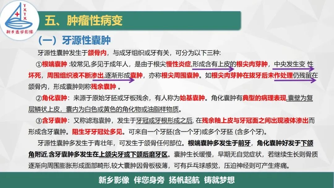 影像PPT - 【PPT】医学影像诊断学教材解读—口腔颌面部疾病2-5