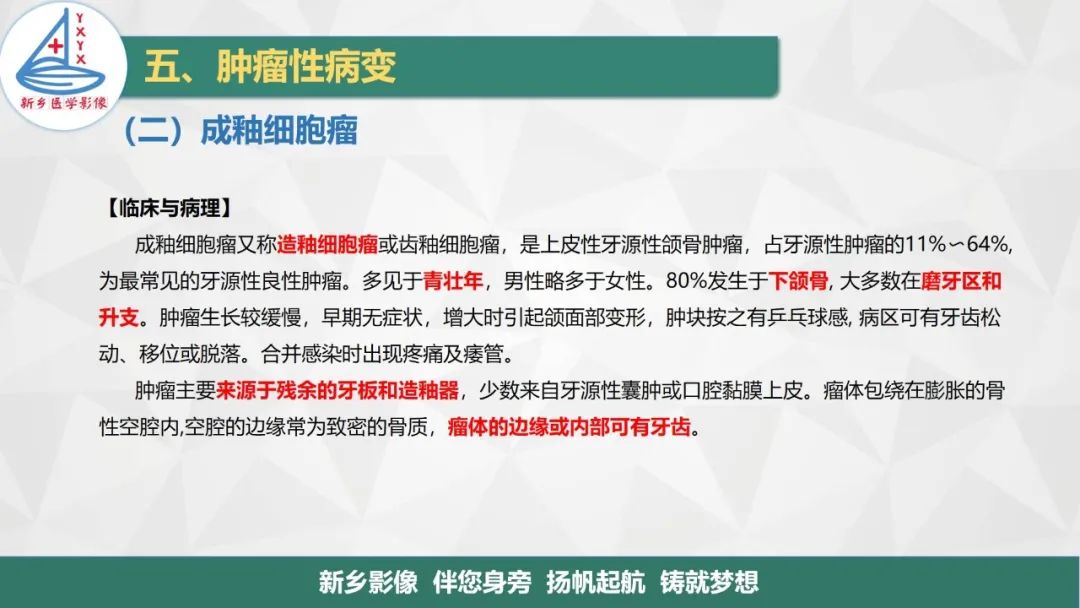 影像PPT - 【PPT】医学影像诊断学教材解读—口腔颌面部疾病2-8