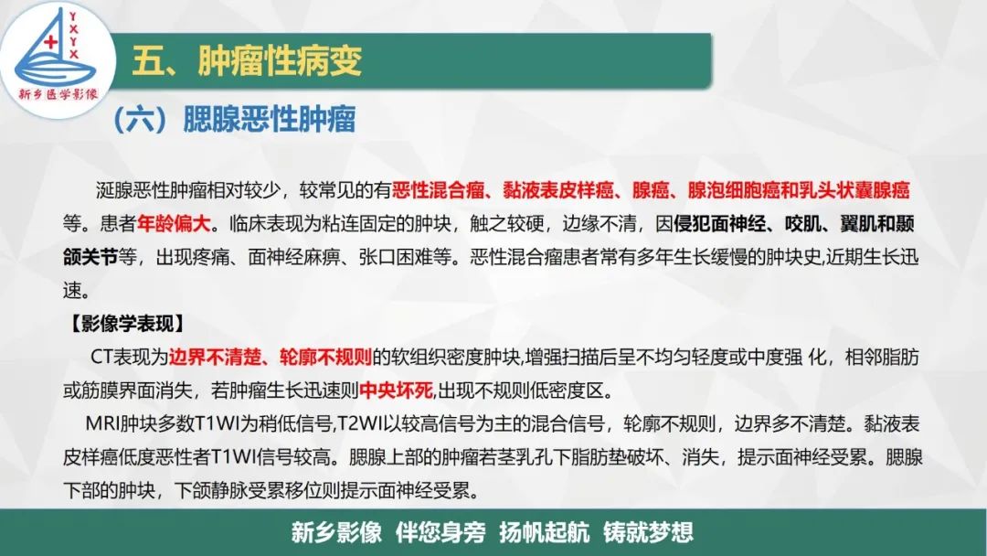 影像PPT - 【PPT】医学影像诊断学教材解读—口腔颌面部疾病2-23