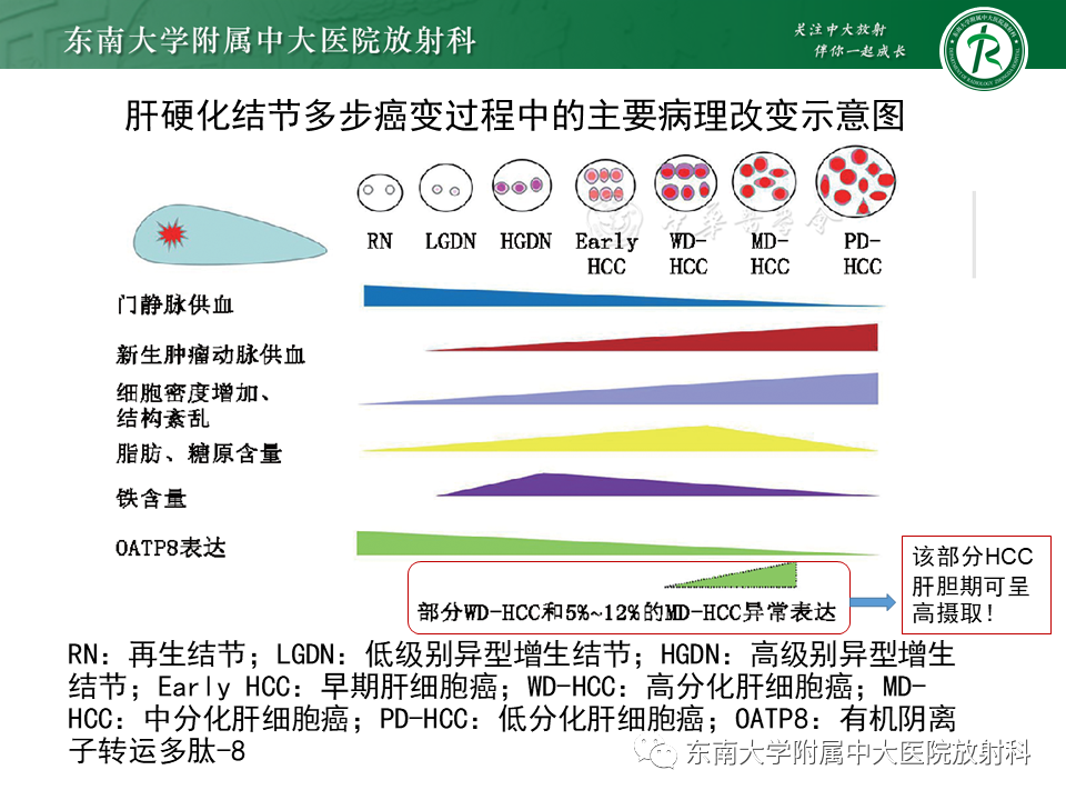 影像PPT - 【PPT】肝细胞癌（HCC）的影像-9