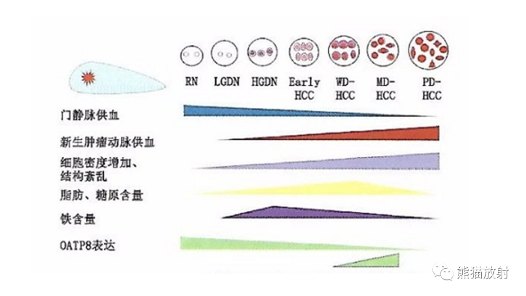 影像PPT - 【病例】肝内胆管细胞癌 VS 肝细胞性肝癌-28