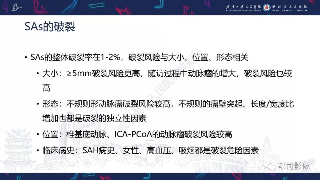 影像PPT - 【PPT】颅内动脉瘤分类、影像表现及鉴别诊断-11