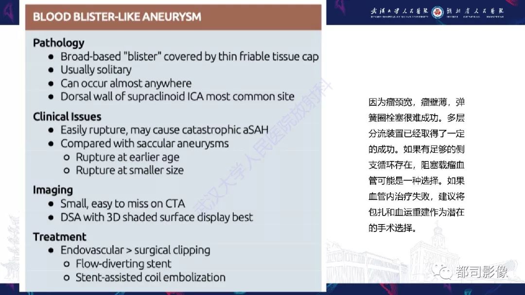 影像PPT - 【PPT】颅内动脉瘤分类、影像表现及鉴别诊断-47