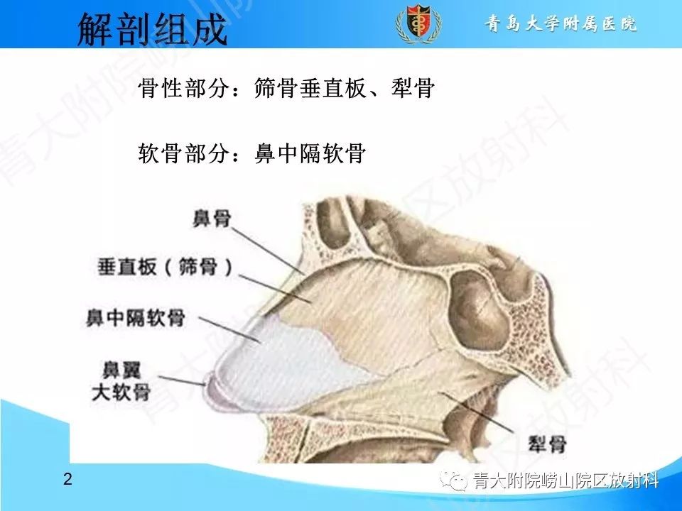 影像PPT - 【PPT】鼻中隔解剖及发育变异-2