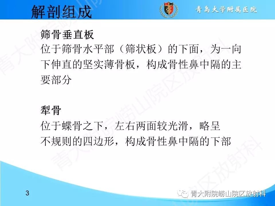 影像PPT - 【PPT】鼻中隔解剖及发育变异-3