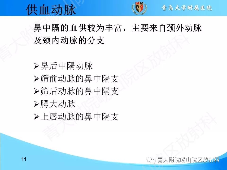 影像PPT - 【PPT】鼻中隔解剖及发育变异-11