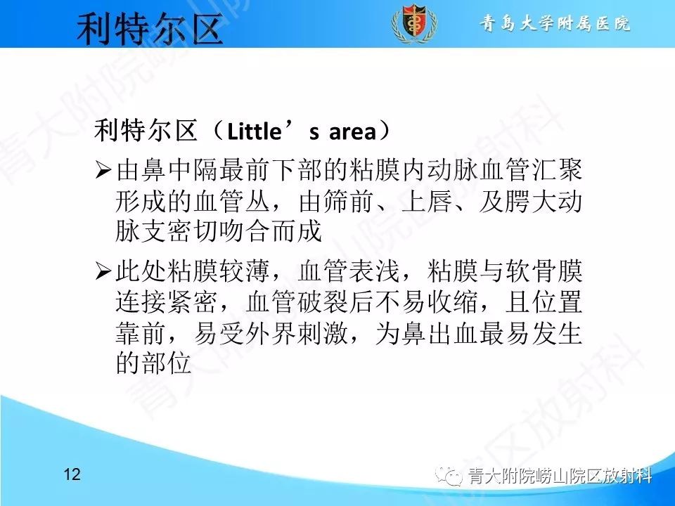 影像PPT - 【PPT】鼻中隔解剖及发育变异-12