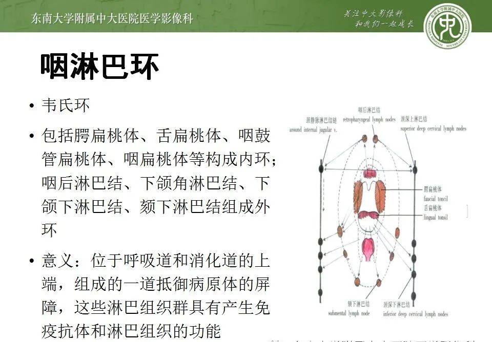影像PPT - 【PPT】鼻咽部淋巴瘤-13