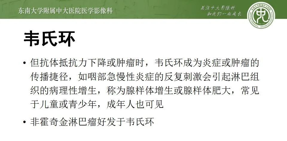 影像PPT - 【PPT】鼻咽部淋巴瘤-14