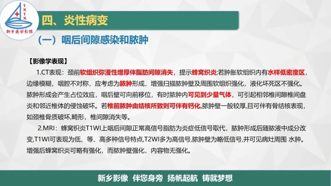 影像PPT - 【PPT】医学影像诊断学教材解读—咽部疾病-14