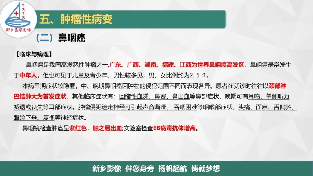 影像PPT - 【PPT】医学影像诊断学教材解读—咽部疾病-23