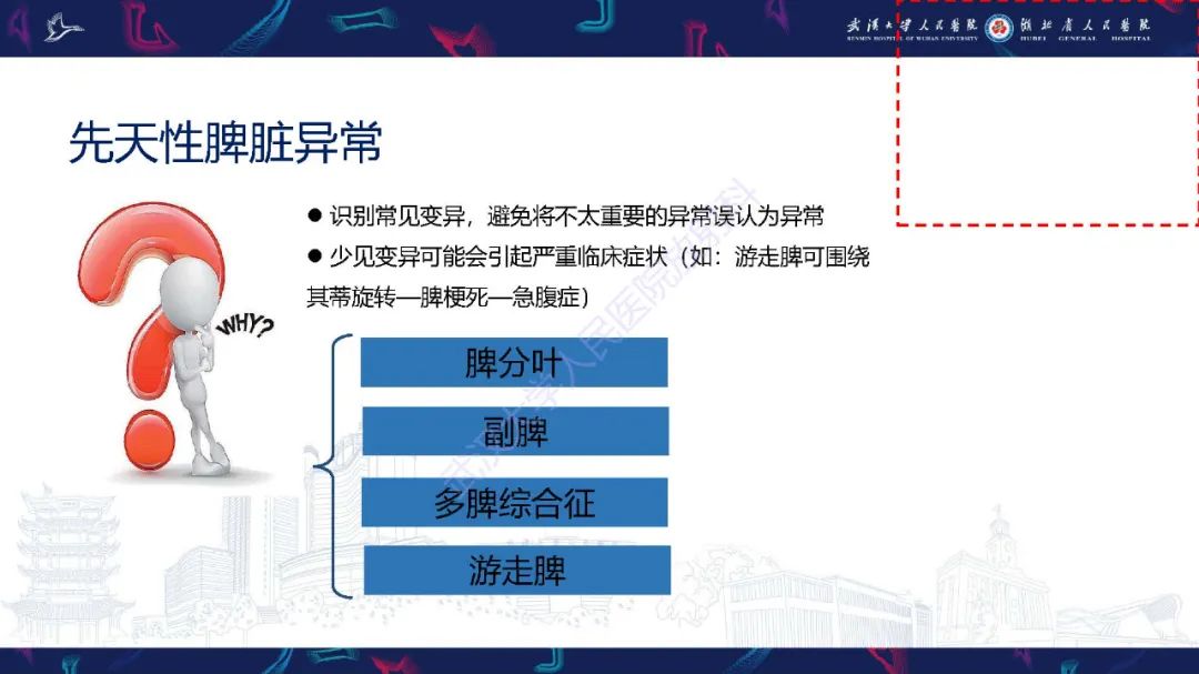 影像PPT - 【PPT】先天性脾脏异常影像诊断-10