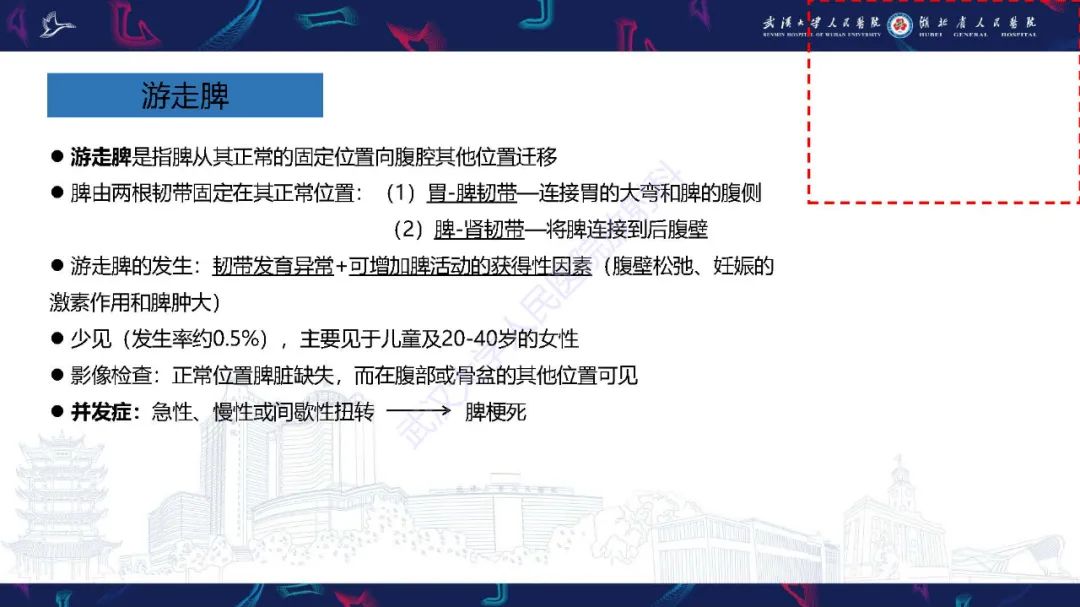 影像PPT - 【PPT】先天性脾脏异常影像诊断-26