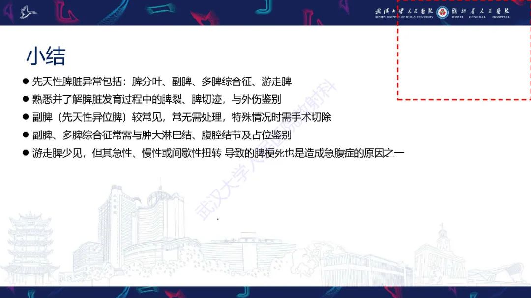 影像PPT - 【PPT】先天性脾脏异常影像诊断-30