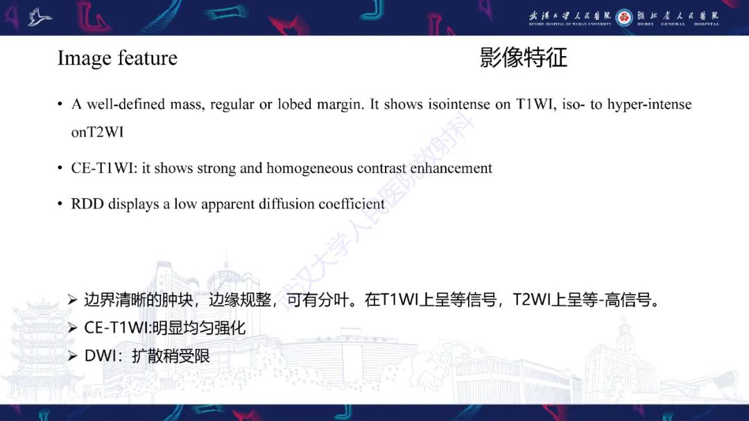 影像PPT - 【PPT】Rosai-Dorfman病影像诊断-12