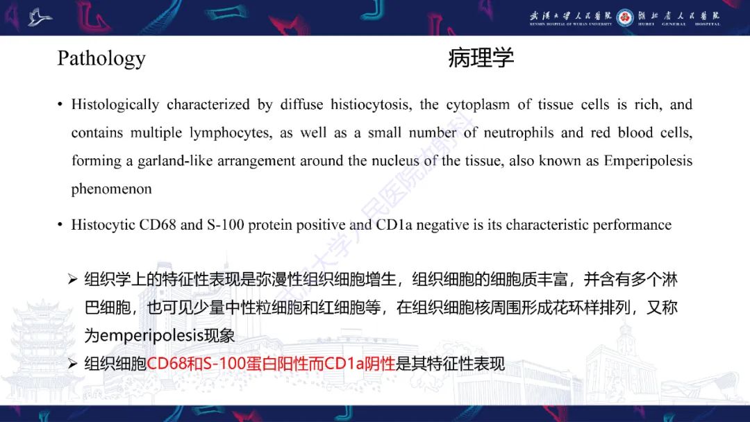 影像PPT - 【PPT】Rosai-Dorfman病影像诊断-10