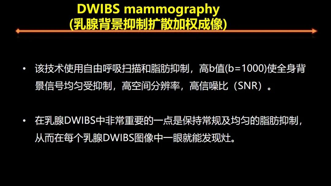 影像PPT - 【PPT】女性致密型乳腺的MR平扫筛查-24