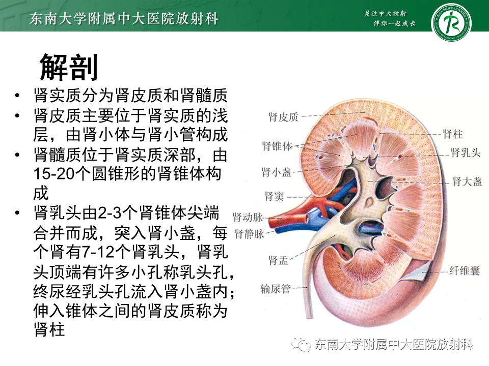 影像PPT - 【PPT】肾结核的影像诊断-7