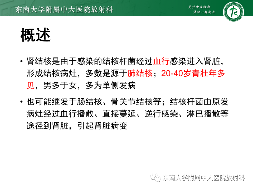 影像PPT - 【PPT】肾结核的影像诊断-8