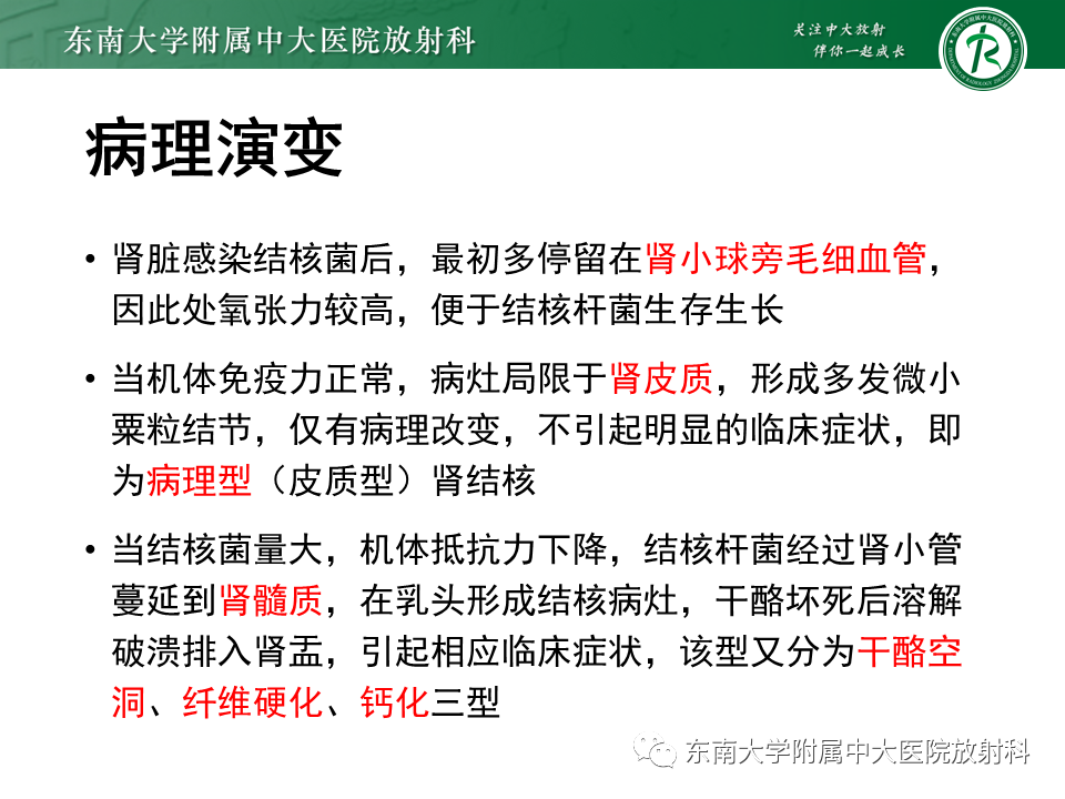 影像PPT - 【PPT】肾结核的影像诊断-9